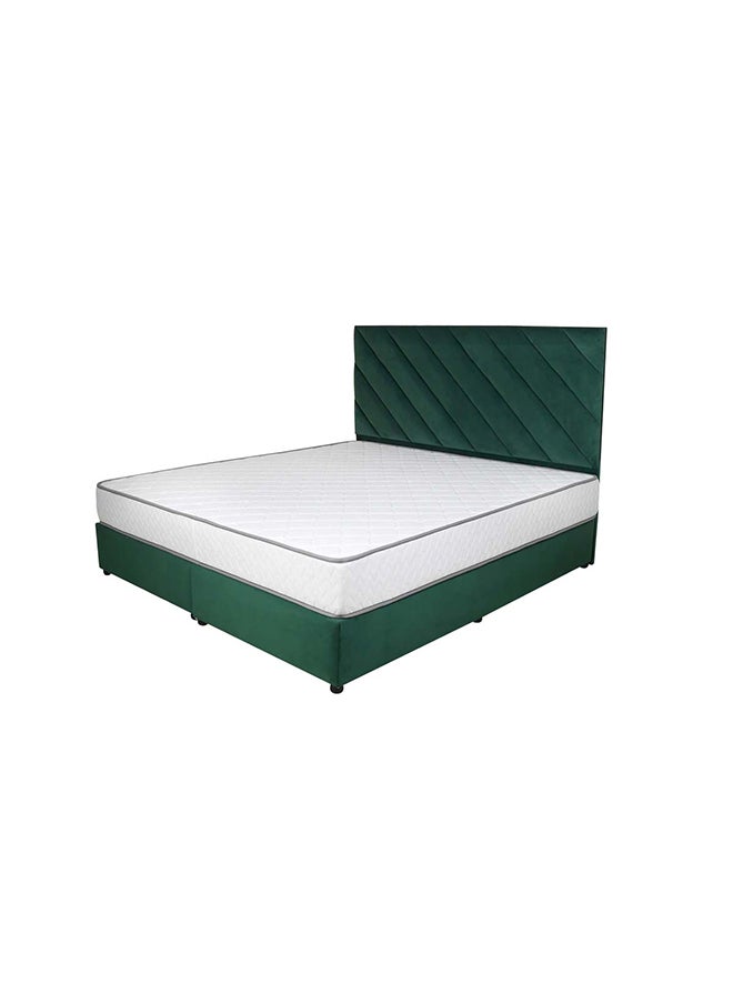 Bed and Mattress Zone Eleganza Upholstered Bed 200x120 Twin Size Green Color  - Image 2