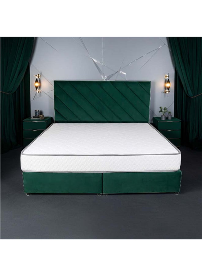 Eleganza Upholstered Bed 203 X 120 Twin Size Green Color, Mattress Size-200x120cm (Mattress sold separately)