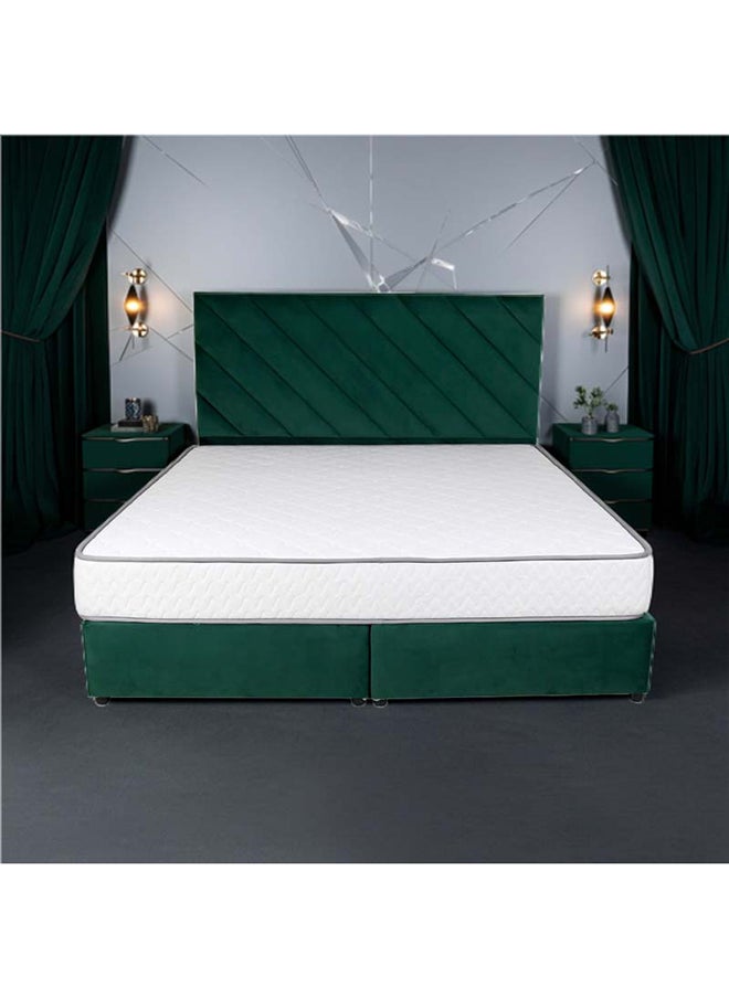 Bed and Mattress Zone Eleganza Upholstered Bed 200x120 Twin Size Green Color  - Image 1