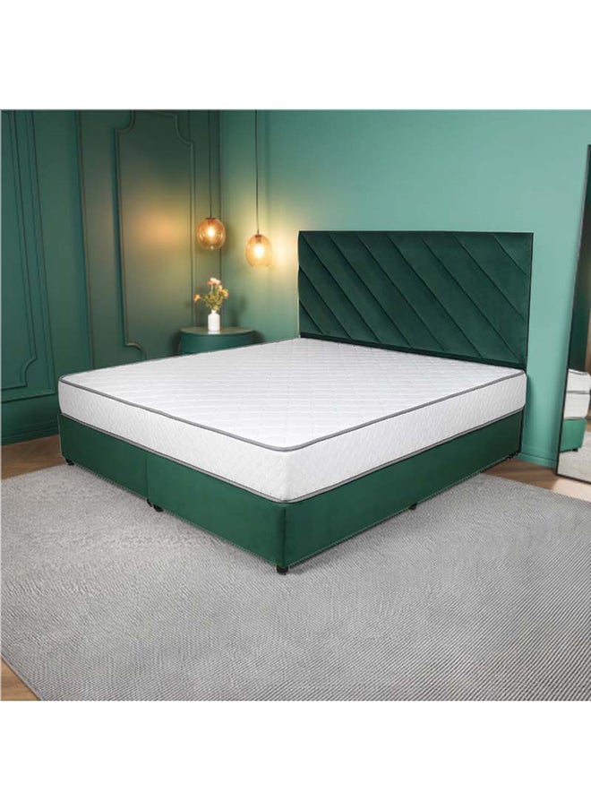 Bed and Mattress Zone Eleganza Upholstered Bed 200x120 Twin Size Green Color  - Image 5