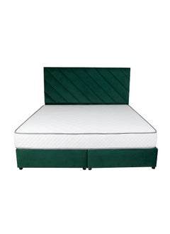 Bed and Mattress Zone Eleganza Upholstered Bed 200 X 120 Twin Size Green Color  - Image 1