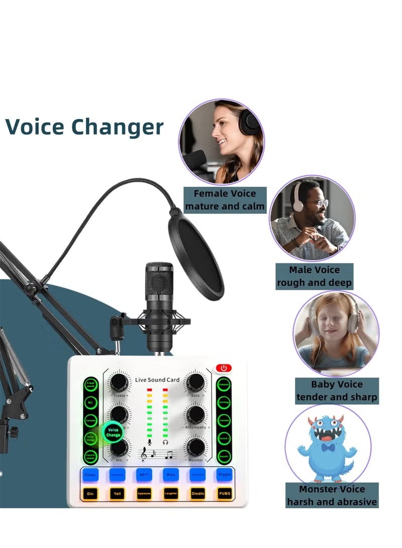 والالا حزمة معدات البودكاست مع ضوء حلقي وحامل هاتف، حزمة استوديو تسجيل BM-800 مع مغير الصوت، بطاقة صوت حية، واجهة صوت للكمبيوتر المحمول، مدونة فيديو للبث المباشر - Image 2