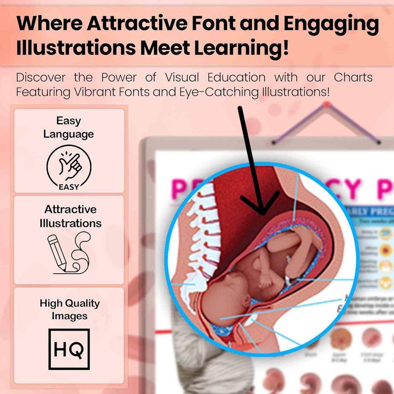 GoWoo COMBO OF 5 ANATOMY CHARTS - Image 5