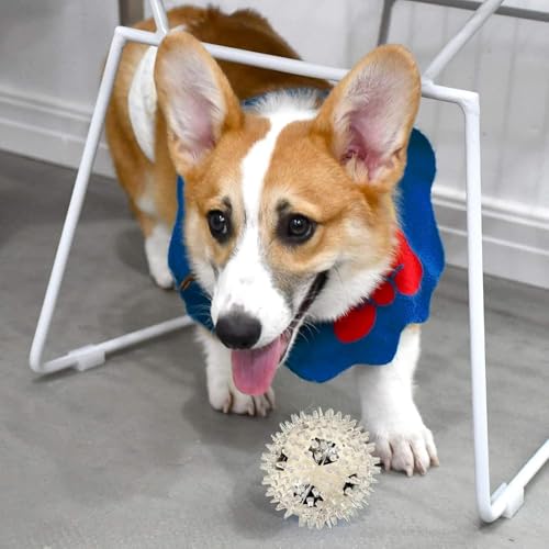 PremiumAV Large Spike Ball Dog Toy – Transparent TPR Rubber Chew Toy for Dogs & Cats, Durable Interactive Bite-Resistant Chew Toy for Aggressive Chewers, Puppy Teething & Play - Image 4