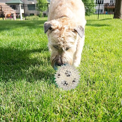 PremiumAV Large Spike Ball Dog Toy – Transparent TPR Rubber Chew Toy for Dogs & Cats, Durable Interactive Bite-Resistant Chew Toy for Aggressive Chewers, Puppy Teething & Play - Image 2