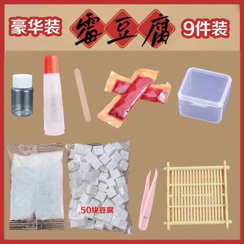 DIY Mold Tofu Craft Kit - Image 4