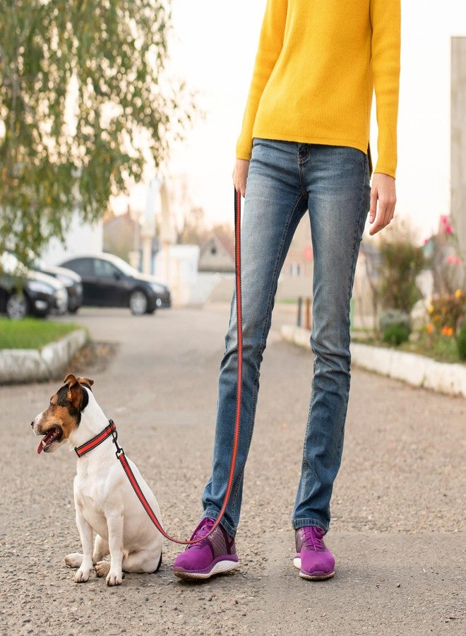 مايل هاي لايف طوق ومقود عاكسان للكلاب من مايل هاي لايف - قابل للتعديل (أحمر، عبوة كبيرة من قطعتين) - Image 5