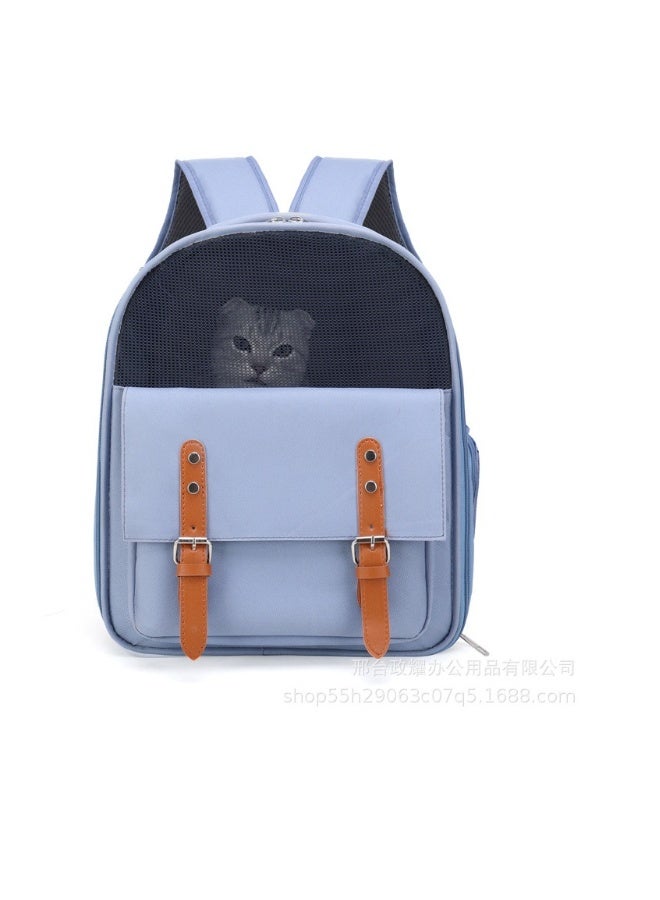 Beauenty Cat outing bag - Image 1