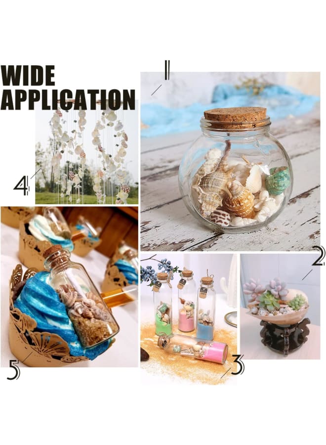 About 1300-1500pcs Pets Shells, No Hole Conch Spiral Shells Ocean Beach for Home, Epoxy Resin, Beach Theme Party, Wedding - Image 4