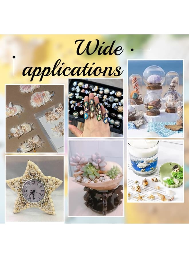 About 1300-1500pcs Pets Shells, No Hole Conch Spiral Shells Ocean Beach for Home, Epoxy Resin, Beach Theme Party, Wedding - Image 5