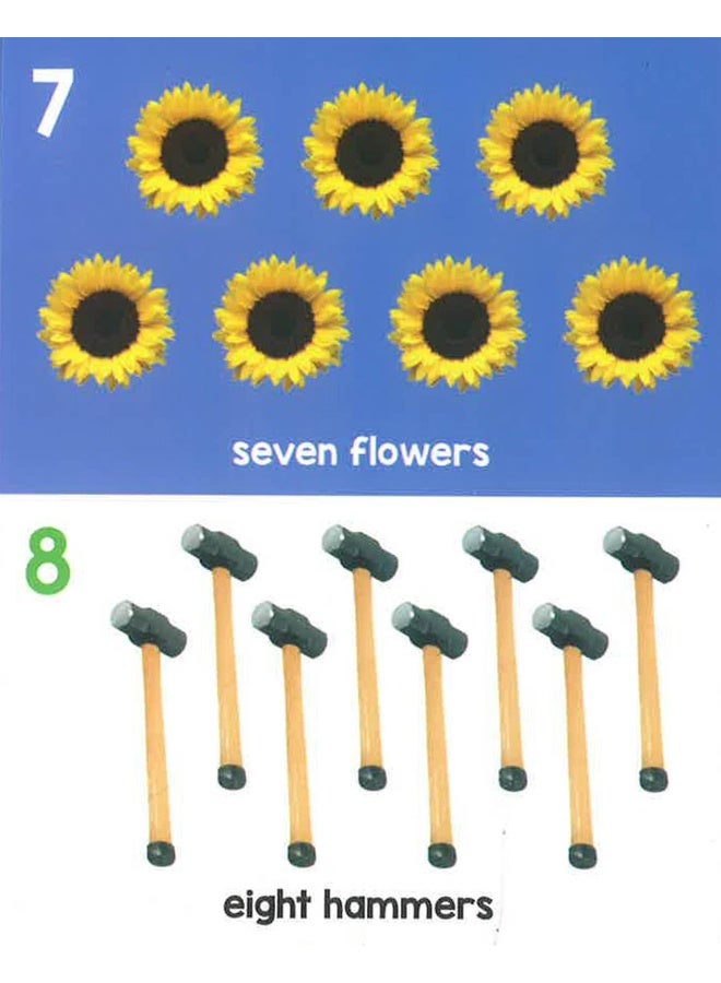 Flap - My First 100 Board Book - Numbers  - Image 4