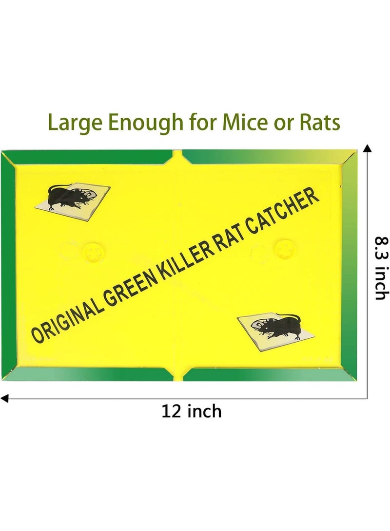 Anmi 5-Pack Mouse Rat Glue Trap, Strongly Adhesive Sticky Glue Traps for Mice, Mouse Sticky Traps - Image 4
