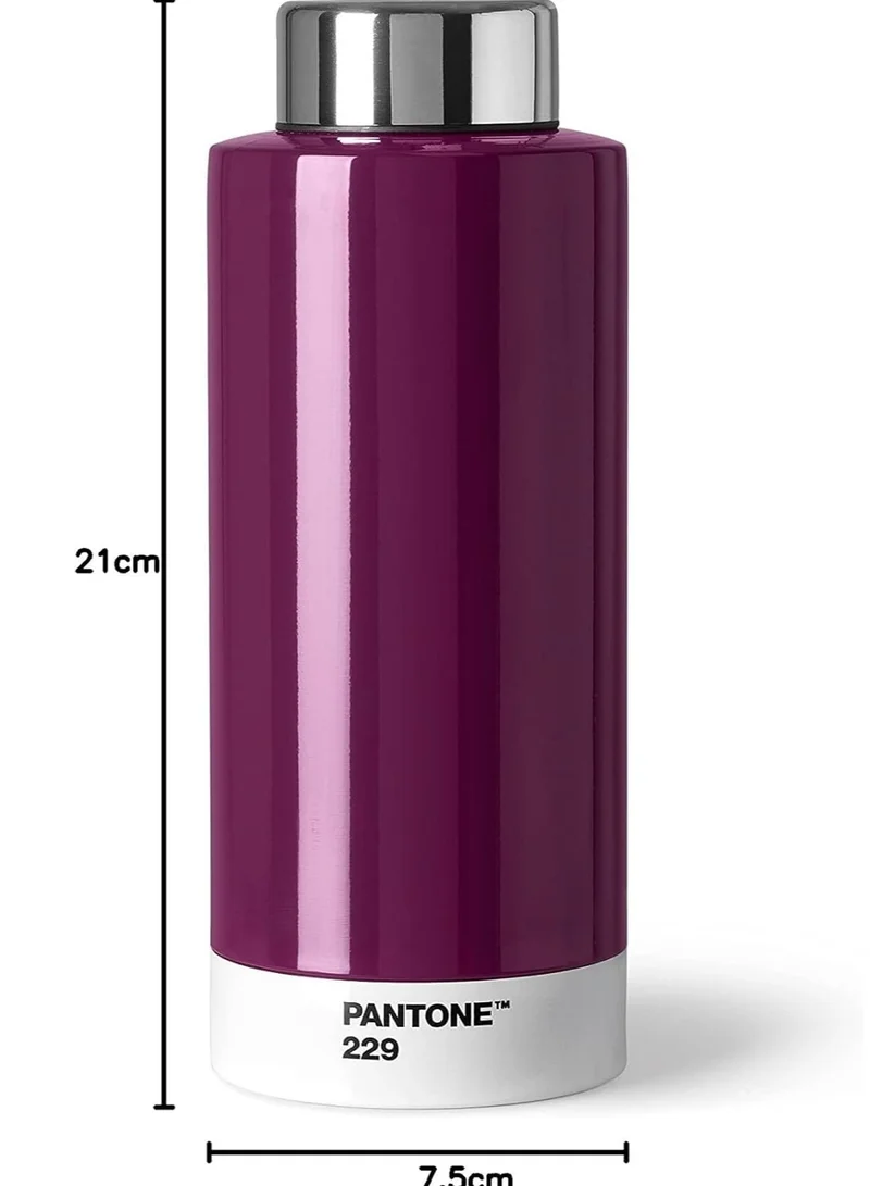 Pantone Modern Thermo Drinking Bottle 500ML – For Daily Hydration – Aubergine