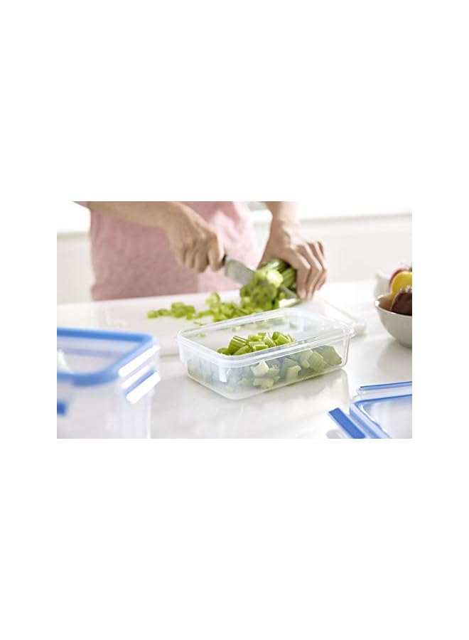 IAF K3028912 Masterseal Safe Food Container 3-piece Set (0.55 liter, 1.0 liter, 2.3 liter), Clear - Image 3