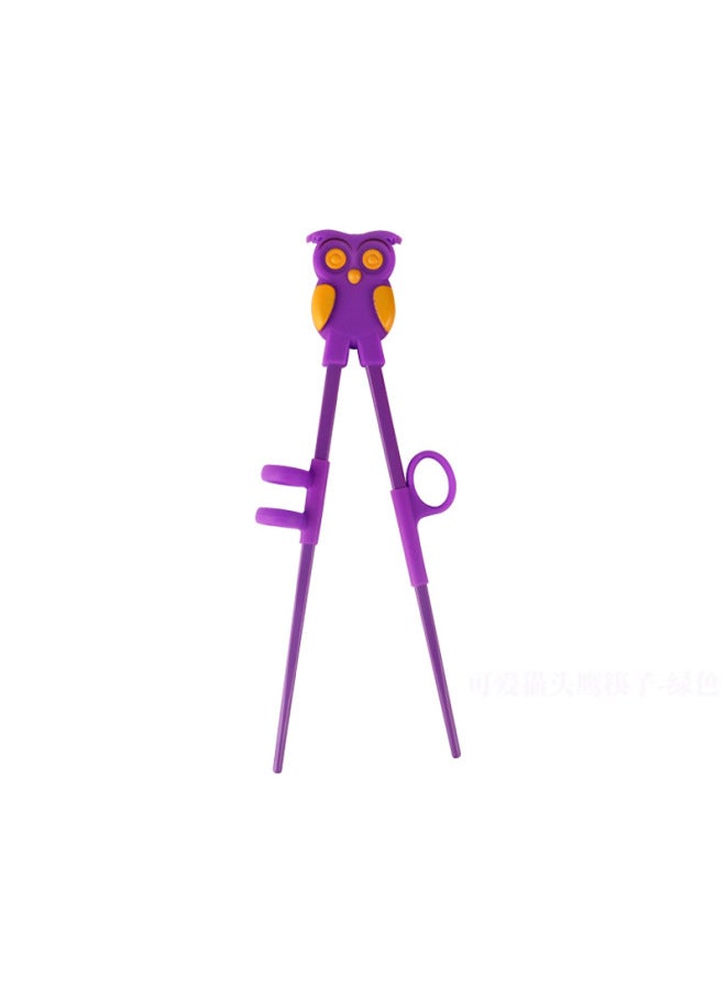 Daily Use Tableware/chopsticks - Bamboo Chopsticks Lotus Design-Color:Owl Melamine Purple Chopsticks Set - Image 1