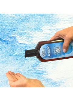 Agadir Daily Volumizing Shampoo 12.4 Fl Oz (Pack Of 1)  - Image 3