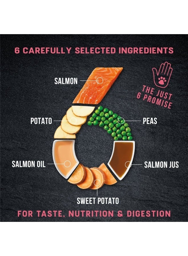 Harringtons Just 6 Salmon Grain Free Adult Wet Dog Food 380g - Image 3