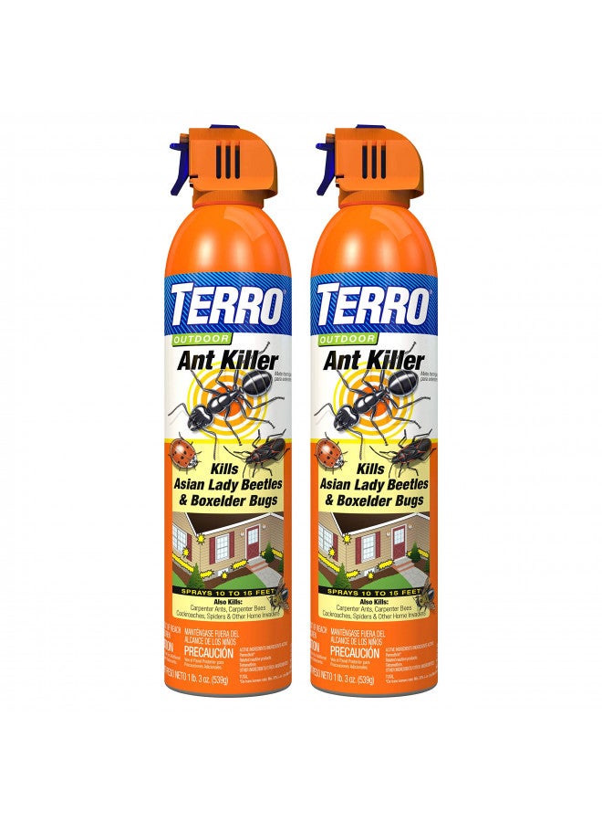 TERRO T1700SR 2 Pack 19 oz Outdoor Ant Killer Spray, White - Image 1