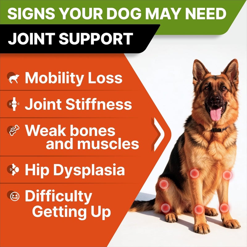 StrellaLab Senior Advanced Glucosamine Chondroitin Joint Supplement for Dogs - Hip & Joint Pain Relief Pills - Large & Small Breed - Hip Joint Chews Canine Joint Health - Chews Older Dogs - Bacon Flavor-120Ct - Image 3
