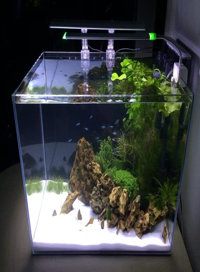 VAYINATO® White Sugar Sand Gravel for Aquarium Decoration (White Sugar Sand - 3KG) by Petzlifeworld - Image 2