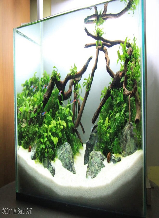 VAYINATO® White Sugar Sand Gravel for Aquarium Decoration (White Sugar Sand - 3KG) by Petzlifeworld - Image 3