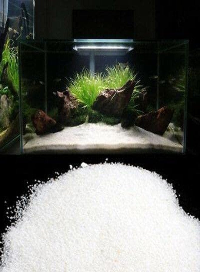 VAYINATO® White Sugar Sand Gravel for Aquarium Decoration (White Sugar Sand - 3KG) by Petzlifeworld - Image 1