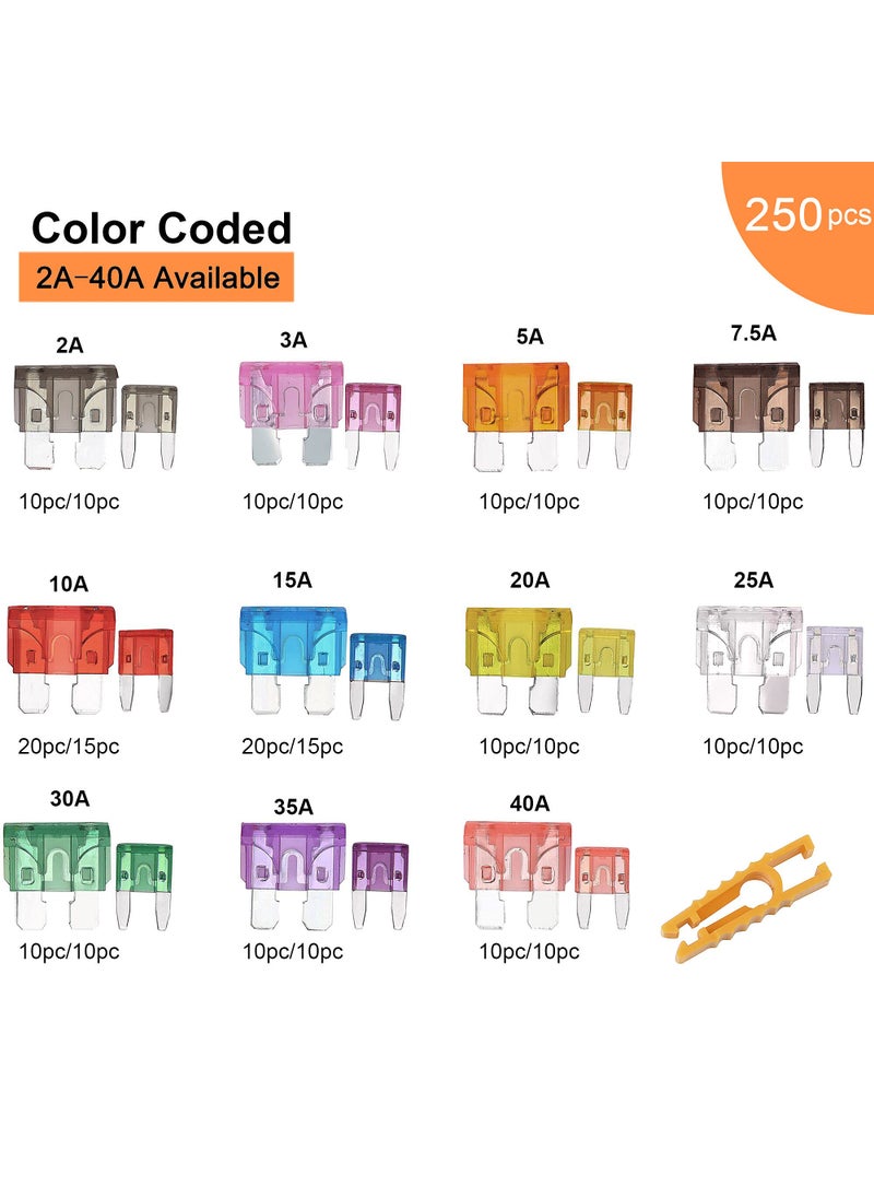 CrocSee CrocSee 250 Pieces - Car Fuses Assortment Kit, Blade-Type Automotive Fuses - Standard & Mini Size (2A/3A/5A/7.5A/10A/15A/ 20A/25A/30A/35A/40A), Replacement Fuses for Car/RV/Truck/Motorcycle/Boat  - Image 2
