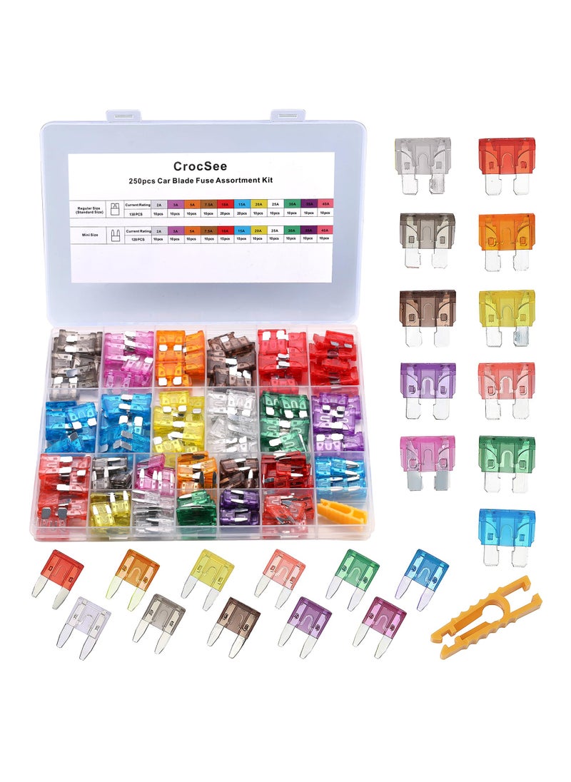 CrocSee CrocSee 250 Pieces - Car Fuses Assortment Kit, Blade-Type Automotive Fuses - Standard & Mini Size (2A/3A/5A/7.5A/10A/15A/ 20A/25A/30A/35A/40A), Replacement Fuses for Car/RV/Truck/Motorcycle/Boat  - Image 1
