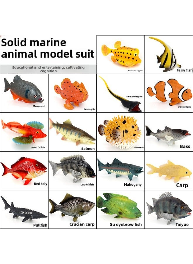 Loquat Simulation Marine Animal Piranha Fish Model Crucian Carp Shark Toy Puffer Carp Salmon Children's Cognitive Gift-Color:Yellow Big Eel - Image 5