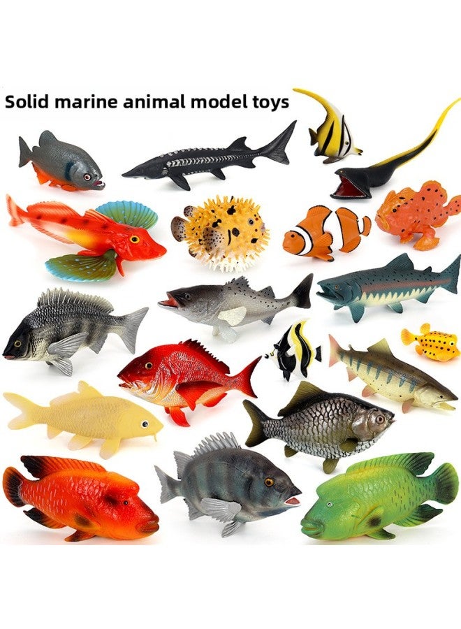 Loquat Simulation Marine Animal Piranha Fish Model Crucian Carp Shark Toy Puffer Carp Salmon Children's Cognitive Gift-Color:Yellow Big Eel - Image 2
