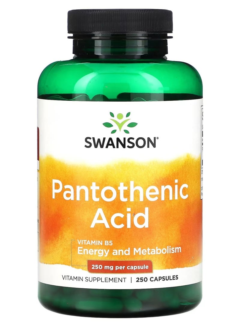 Swanson, Pantothenic Acid with Vitamin B5, 250 mg, 250 Capsules