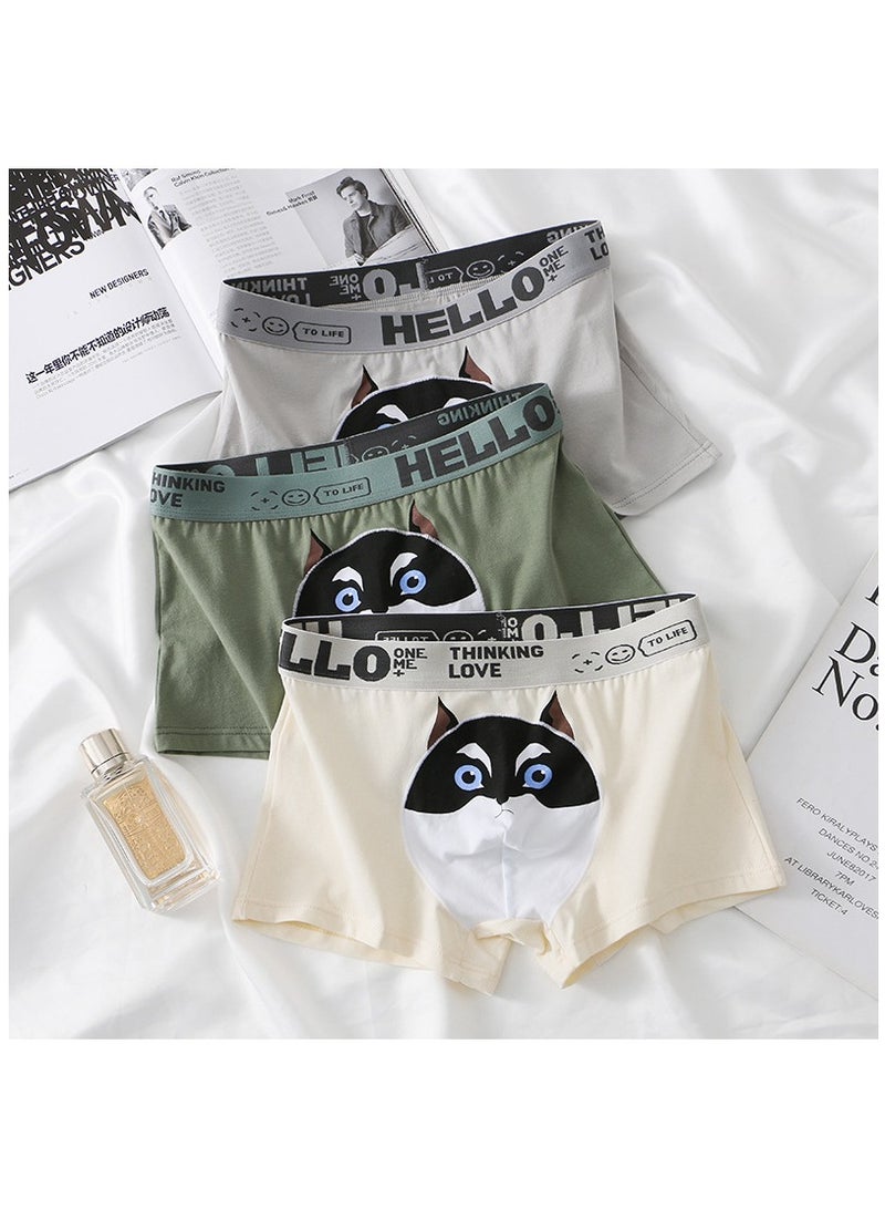 Boxed Men's Printed Breathable Four Corner Underwear Of 3 Pieces  - Image 1