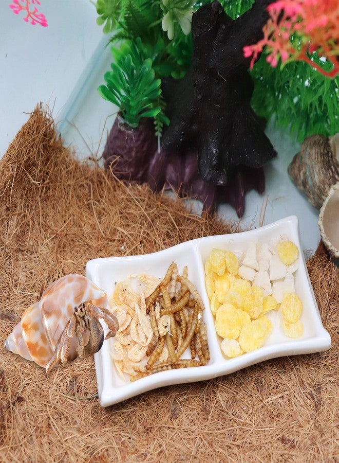 Neeenn 3 Pcs Hermit Crab Ceramic Food Dish, Hermit Crab Food & Water Bowl, Mini Food Dish Kit, Suitable for Hermit Crab Tarantula Snail - Image 4