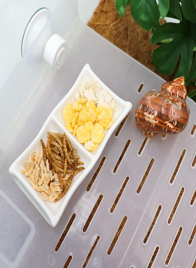 Neeenn 3 Pcs Hermit Crab Ceramic Food Dish, Hermit Crab Food & Water Bowl, Mini Food Dish Kit, Suitable for Hermit Crab Tarantula Snail - Image 5