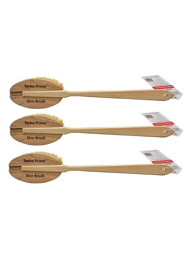 Yerba Prima Tampico Dry Skin Brush For Exfoliating And Blood Stimulation (Pack Of 3) - Image 1
