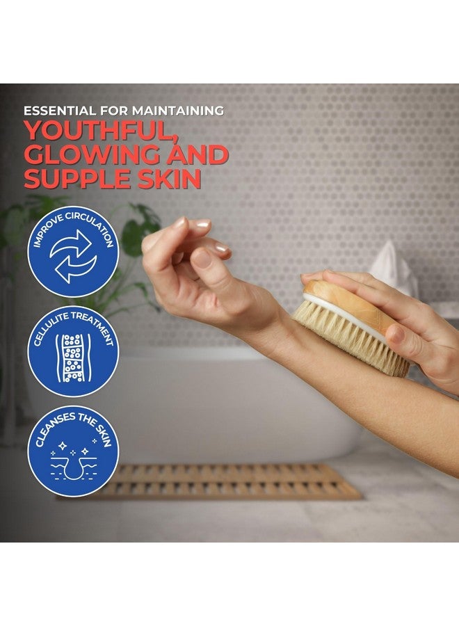 Yerba Prima Tampico Dry Skin Brush For Exfoliating And Blood Stimulation (Pack Of 3) - Image 2