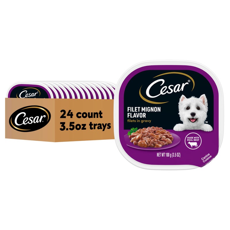 Cesar Filets in Gravy, Adult Wet Dog Food, Filet Mignon Flavor, Wet Food for Dogs, 3.5 oz Trays, 24 Count - Image 1