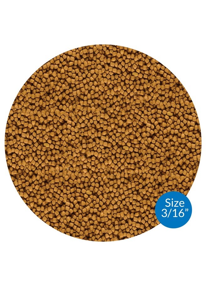 ايه بي آي طعام أسماك البركة API - كيس طعام أسماك البركة 2.68 رطل  - Image 2