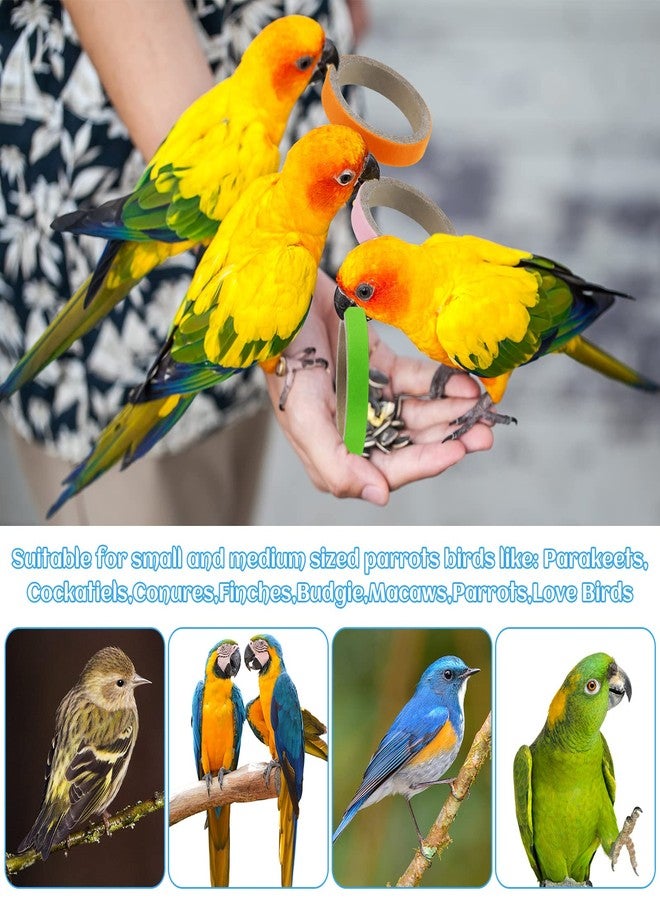 Jenaai 24 Pcs Chew Bagels Bird Toys for Parrots 2.4 Inch Wood Bird Chew Toys Colorful Cardboard Foraging Chew Foot Wooden Training Toy for Cockatiels Cockatoos Macaws and Similar Sized Pet Birds - Image 4
