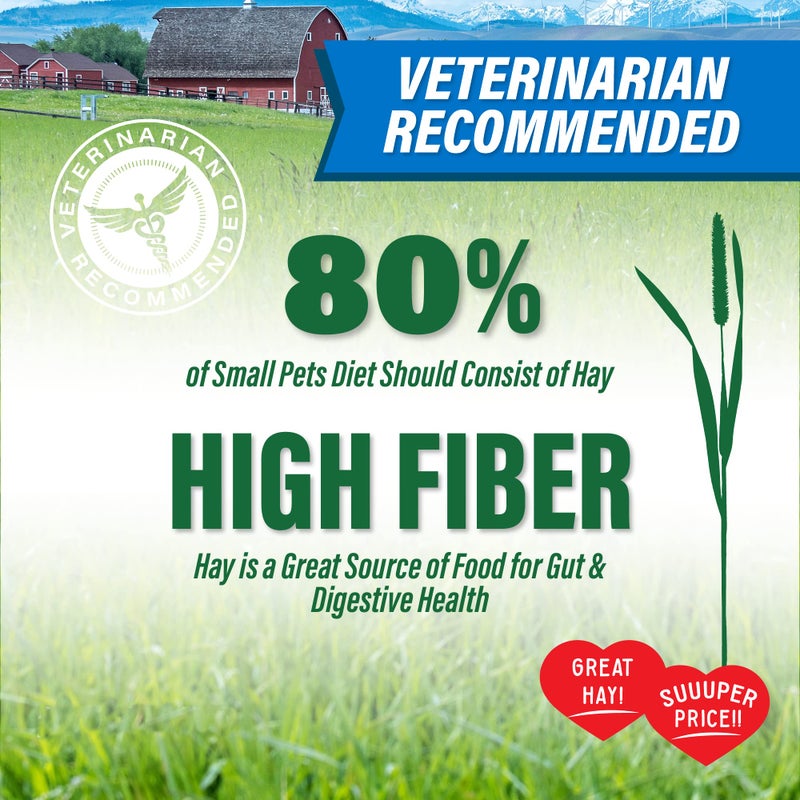 Small Pet Select Value Choice Timothy Hay for Rabbit, Guinea Pig, Bunny, Chinchilla and Other Small Animals, Premium Natural Hay Grown in The US, Pet Food, 8lb - Image 2