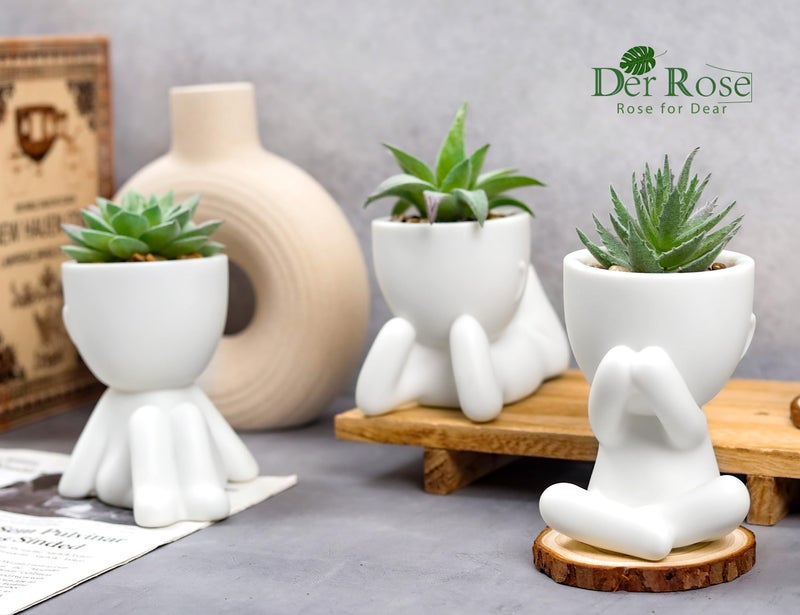 Der Rose 3pcs Fake Succulents Plants Artificial for Bathroom Bedroom Home Room Decor Aesthetic Indoor - Image 4