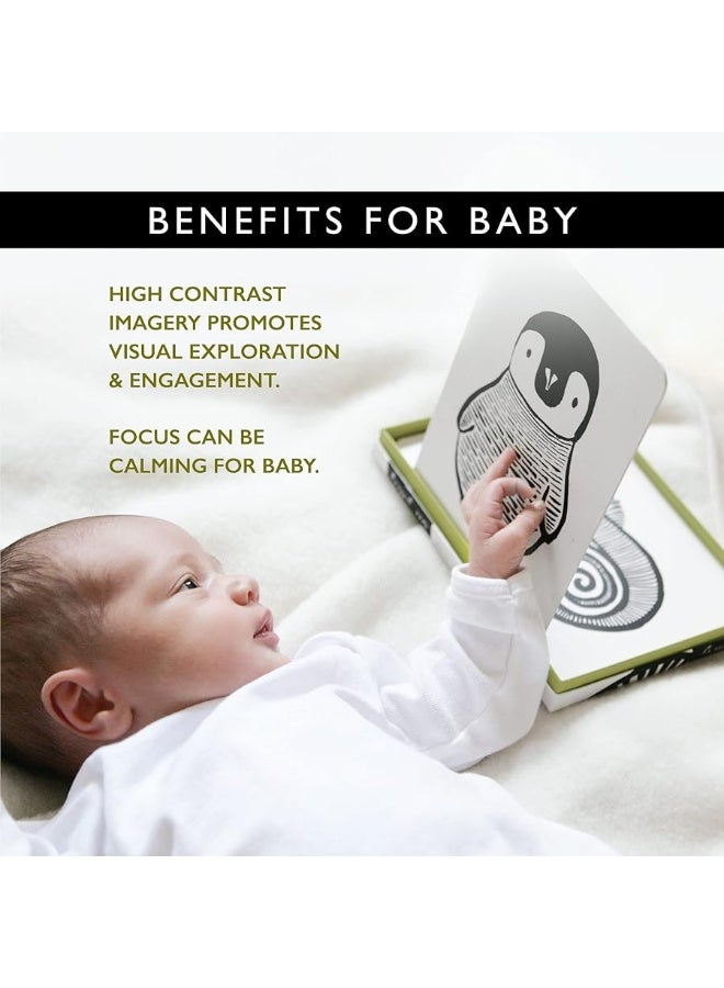 Wee Gallery Black and White Art Flash Cards for Babies, High Contrast Educational Animal Picture Cards, Baby Visual Stimulation, Brain and Memory Development in Infants and Toddlers - B&W Animals - Image 4