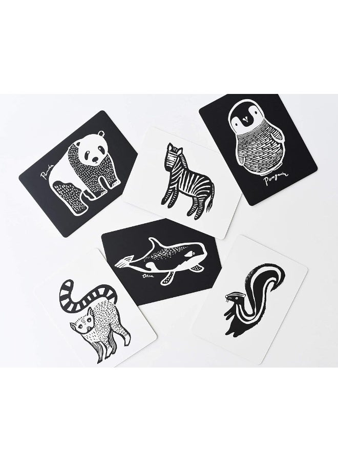Wee Gallery Black and White Art Flash Cards for Babies, High Contrast Educational Animal Picture Cards, Baby Visual Stimulation, Brain and Memory Development in Infants and Toddlers - B&W Animals - Image 3