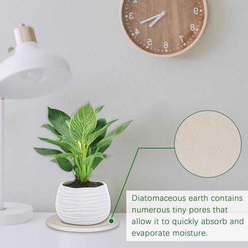 Creproly Plant Saucer Flower Pot Saucers Plant Trays for Pots Instant Dry Diatomaceous Earth Round Plant Drip Trays for Indoors Keeping Counter and Floors Dry and Clean (2Pcs White Small) - Image 5