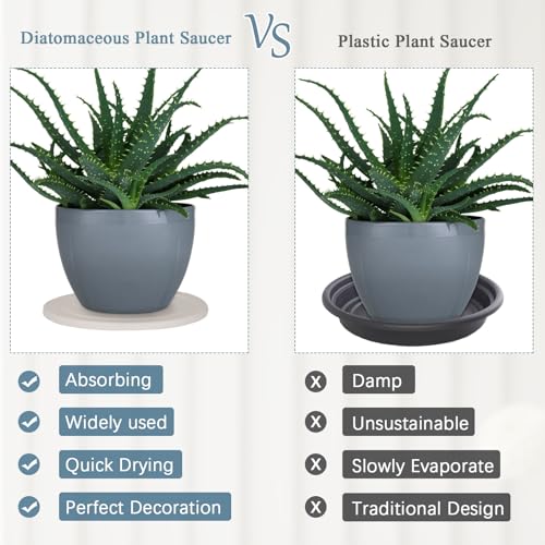 Creproly Plant Saucer Flower Pot Saucers Plant Trays for Pots Instant Dry Diatomaceous Earth Round Plant Drip Trays for Indoors Keeping Counter and Floors Dry and Clean (2Pcs White Small) - Image 4