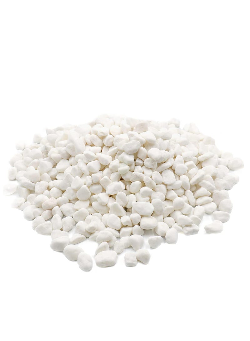 Decorative White River Stones for Multipurpose Decorations - Image 1