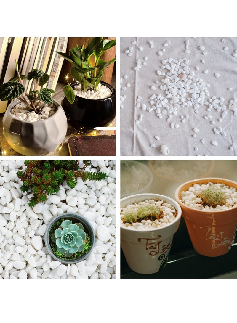 Decorative White River Stones for Multipurpose Decorations - Image 4