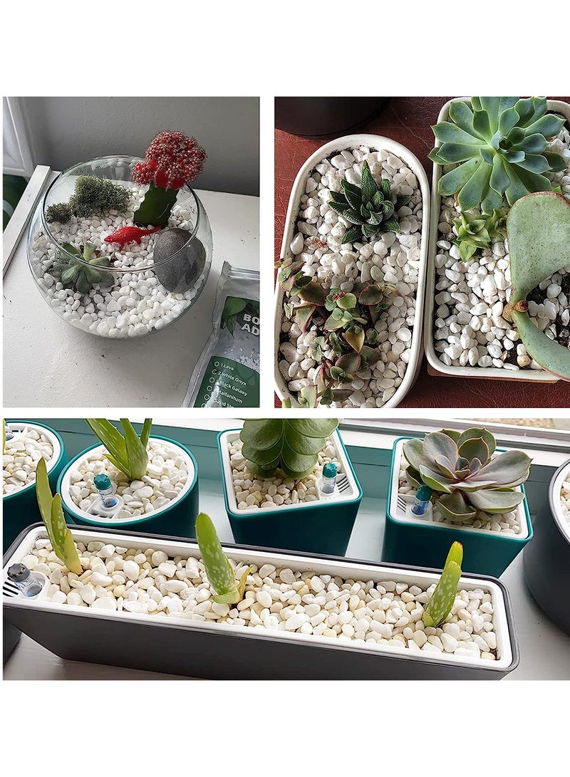 Decorative White River Stones for Multipurpose Decorations - Image 3