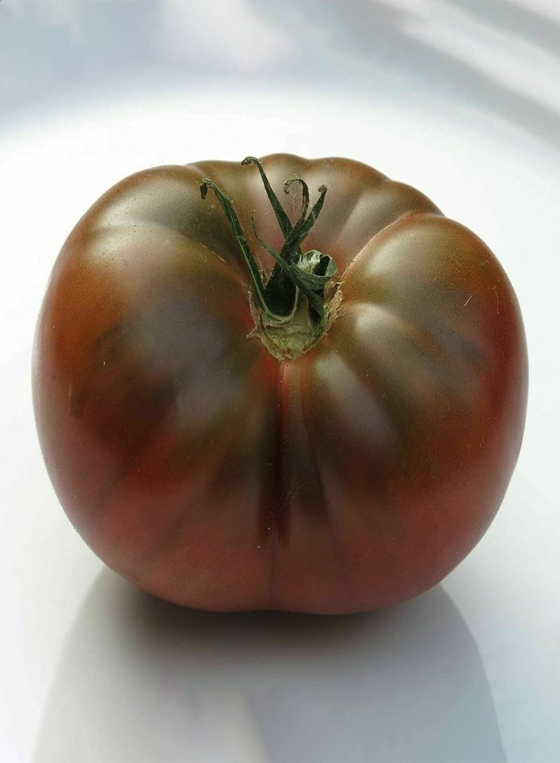 GGOOT Vegetable Seeds for Planting 100Pcs/Bag Tomato Seeds Easy Plant Non GMO Fast Growing Flavorful Nutritious Vegetable Seeds for Outdoor Seeds for Yard - Image 5