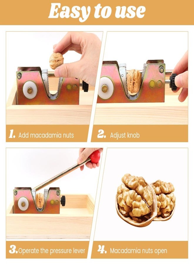 ZEENEEK Heavy Duty Nut Cracker with Wooden Base, Adjustable Manual Nut Cracker for All Nuts - Easy Open Walnut, Pecan, Macadamia, Hazelnut Opener Tool Kit with 4 Stainless Steel Picks - Image 3